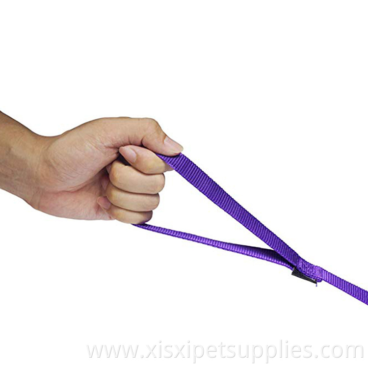 Pet Classic Solid Color Dog Training Leash Matching Collar & Harness Available Separately